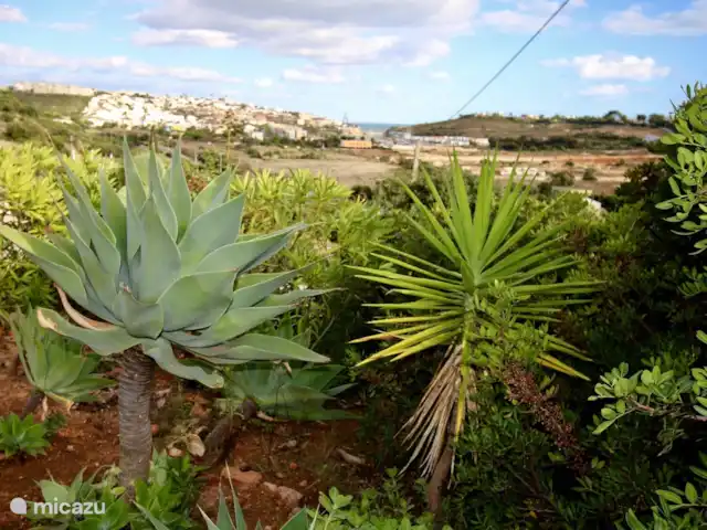 Villa Malibu | Portugal, Algarve, Albufeira - villa Villa Malibu