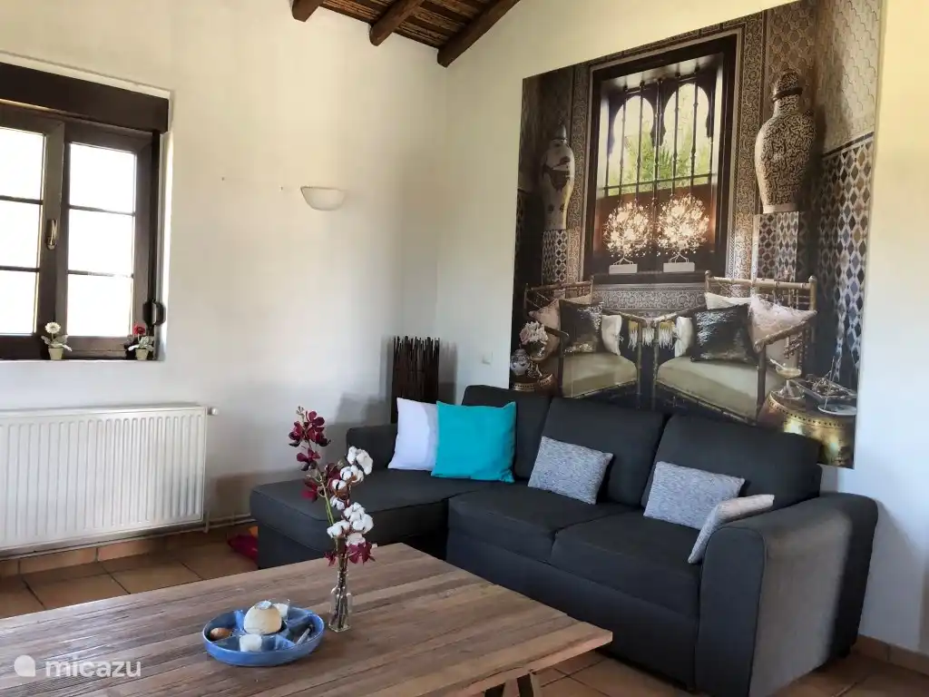 woonkamer met slaapbank