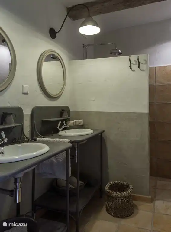 Uno de los baños de la planta baja con lavabo y plato de ducha.