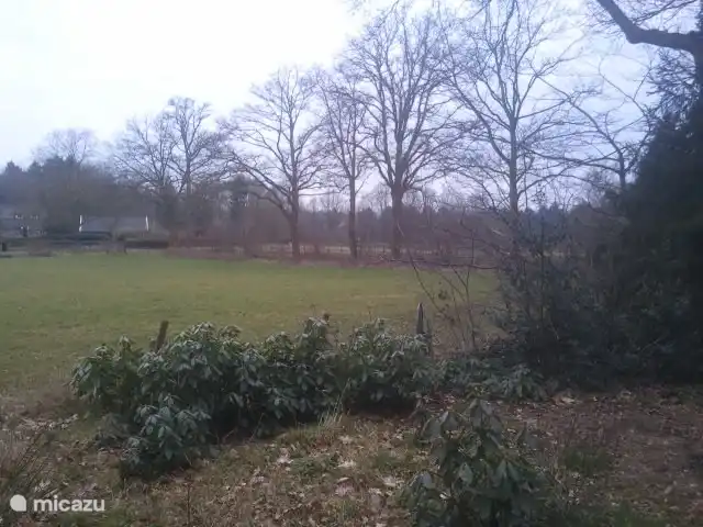 Darf Ich In Meinem Wald Eine Hütte Bauen