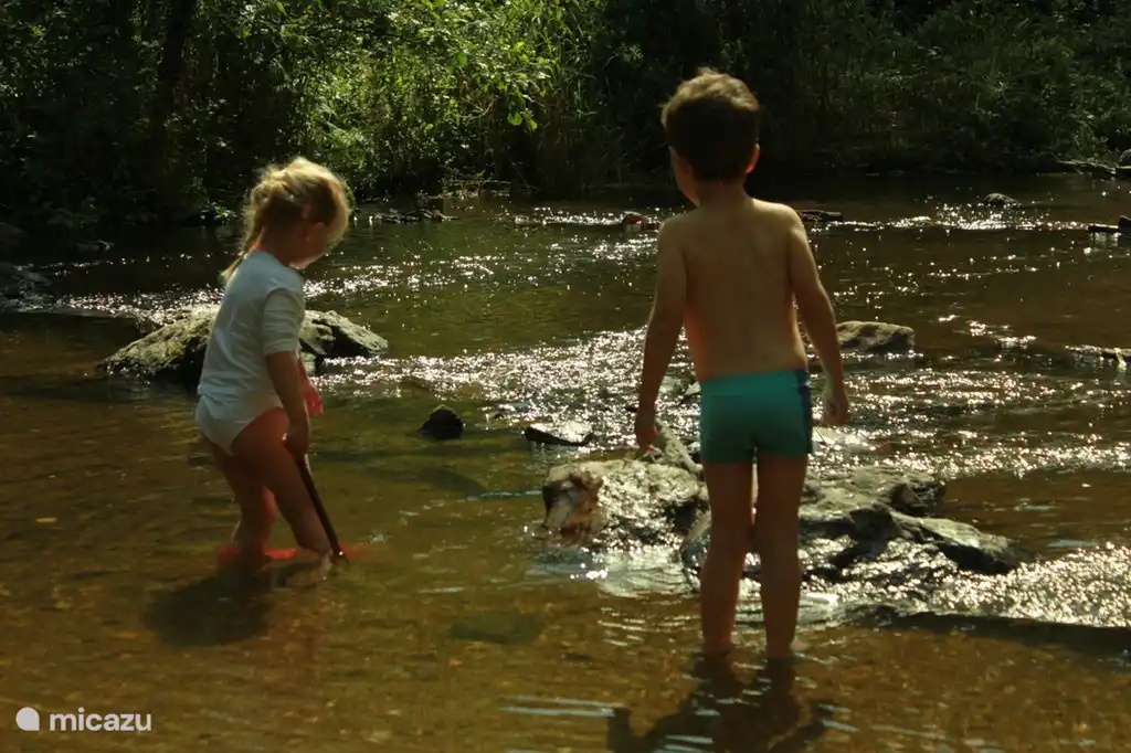 buen ba&#241;o de pies
