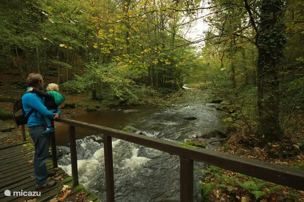 Podr&#225;s disfrutar de la naturaleza en medio de un paseo de 5 minutos junto al r&#237;o