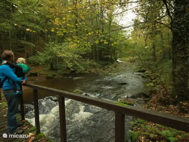 Villa Vencimont en Bélgica, Ardenas, Vencimont  - casa vacacional Podrás disfrutar de la naturaleza en medio de un paseo de 5 minutos junto al río