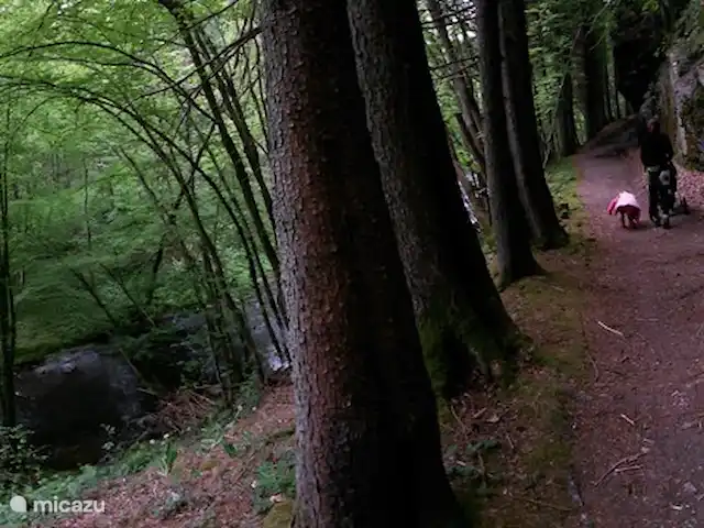 Villa Vencimont en Bélgica, Ardenas, Vencimont  - casa vacacional Una ruta de senderismo y un camino de BTT a lo largo del río pasan por la casa.