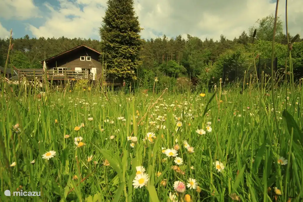 agradable en el c&#233;sped, a la derecha el trampol&#237;n