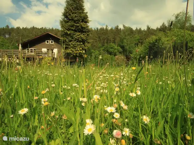 Villa Vencimont en Bélgica, Ardenas, Vencimont  - casa vacacional agradable en el césped, a la derecha el trampolín