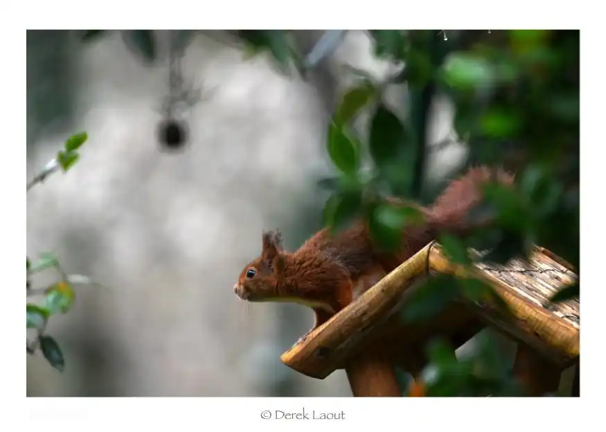 Bungalow Cobana in Nunspeet, Gelderland, Niederlande mieten? | Micazu
