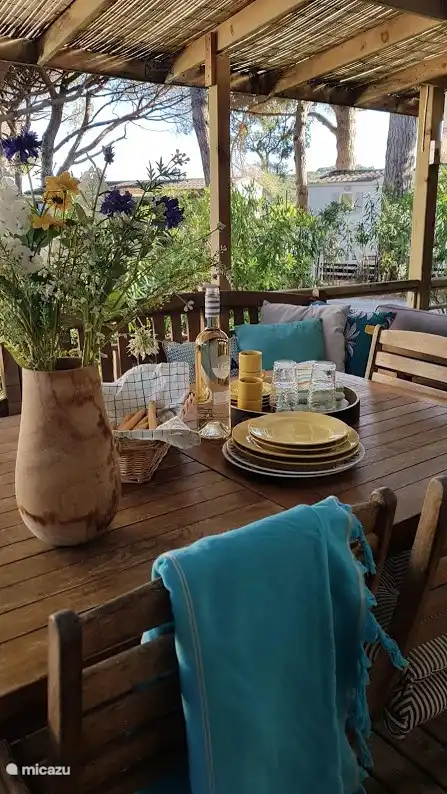 terraza con mesa de comedor