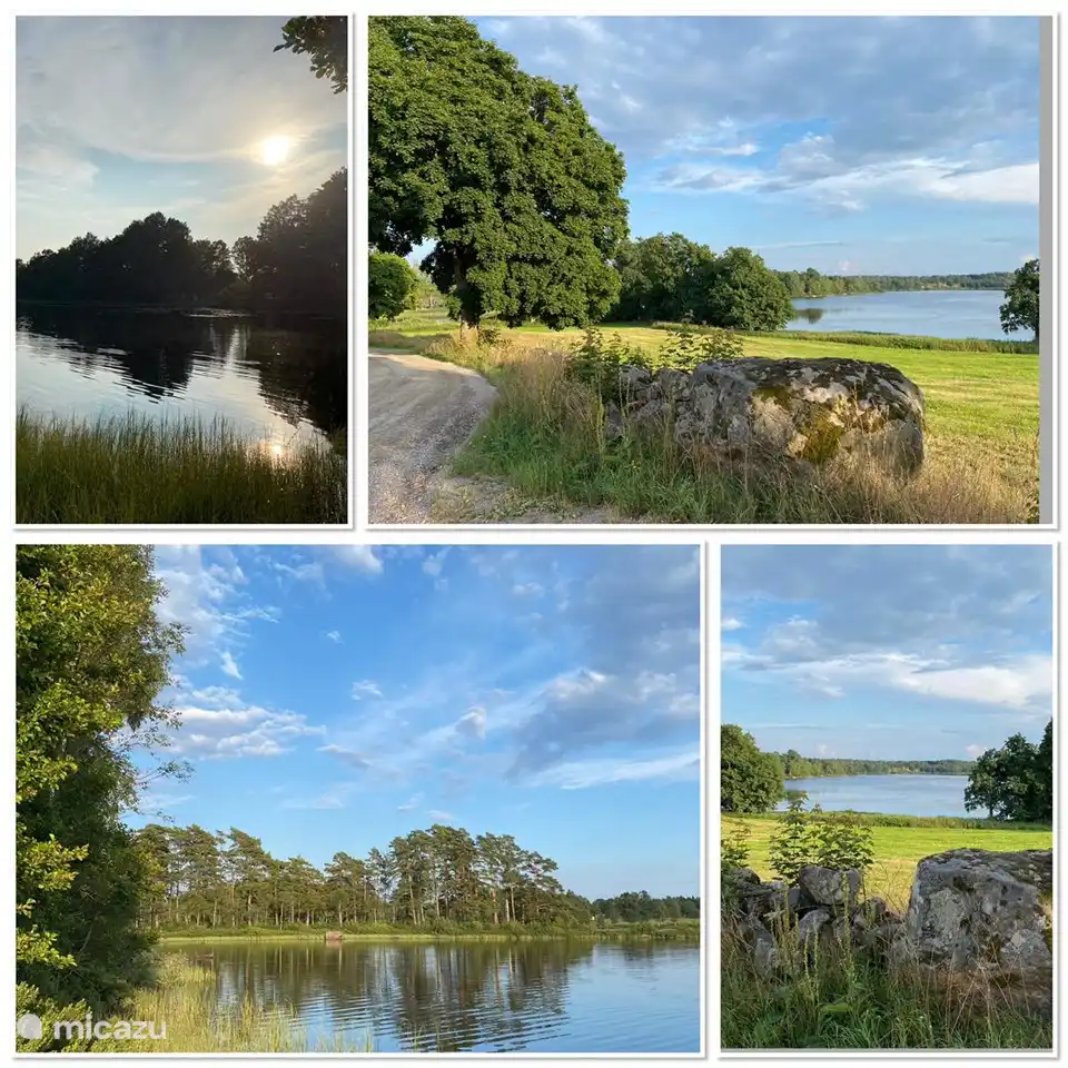 Nature in and around Ellefors!