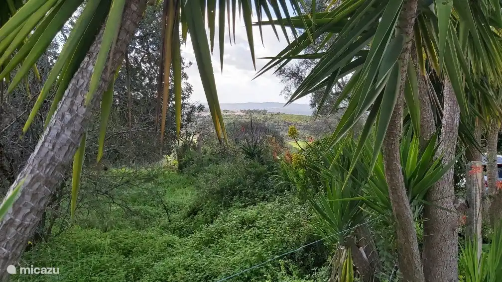 Vista desde Casa Azul, el mar a lo lejos.