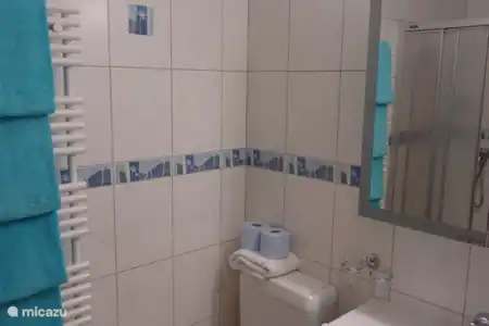 Vakantiehuis Zwitserland, Wallis, Saas-Fee appartement Huis Holiday Badkamer met douche