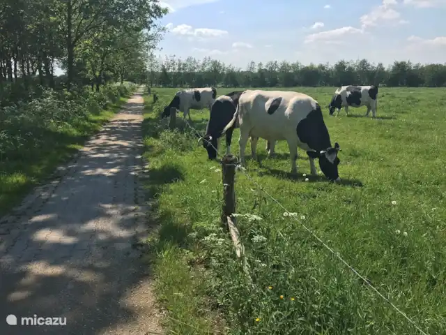 Lieve Lievelde en Países Bajos, Güeldres, Lievelde - casa vacacional En el Achterhoek, la hospitalidad está ahí para ser tomada. A lo largo de la mayoría de las rutas ciclistas y a pie se encuentran muchos puestos donde a menudo se ofrecen a la venta diversos productos artesanales regionales como helados, carne, queso, frutas, plantas o mermelada casera.