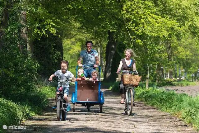 En el Achterhoek encontrarás muchas actividades para toda la familia. Para grandes y pequeños, hay mucho que descubrir y hacer en las inmediaciones. En un uutblaoshuusken (que significa soplar en inglés) puedes tomarte un descanso y, a menudo, puedes tomar una taza de café o té tú mismo. 