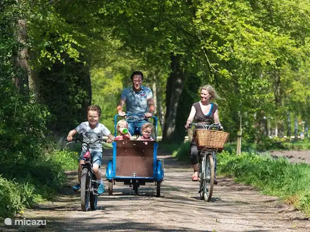 Lieve Lievelde en Países Bajos, Güeldres, Lievelde - casa vacacional En el Achterhoek encontrarás muchas actividades para toda la familia. Para grandes y pequeños, hay mucho que descubrir y hacer en las inmediaciones. En un uutblaoshuusken (que significa soplar en inglés) puedes tomarte un descanso y, a menudo, puedes tomar una taza de café o té tú mismo.