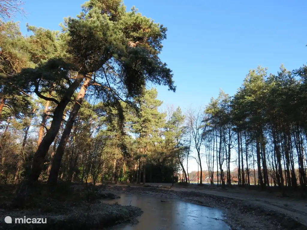 Desde la casa se puede entrar directamente en de Schans. Aquí hay una torre de vigilancia y el sitio histórico el reducto inglés. Jugó un papel importante en la Batalla de Grolle en 1627. Hay varias rutas de senderismo, rutas de bicicleta de montaña y un gran estanque de pesca.