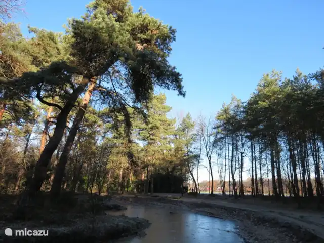 Lieve Lievelde en Países Bajos, Güeldres, Lievelde - casa vacacional Desde la casa se puede entrar directamente en de Schans. Aquí hay una torre de vigilancia y el sitio histórico el reducto inglés. Jugó un papel importante en la Batalla de Grolle en 1627. Hay varias rutas de senderismo, rutas de bicicleta de montaña y un gran estanque de pesca.