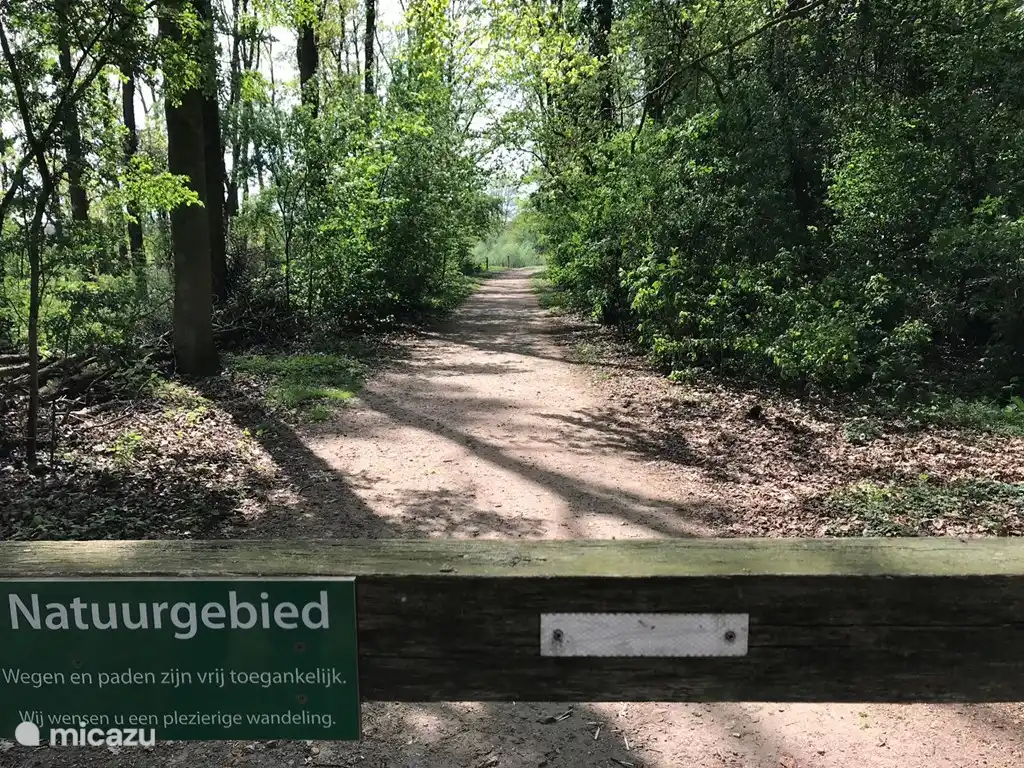 Lievelde se encuentra en uno de los lugares más bellos de Achterhoek. Rodeado por la tranquilidad verde de vastos bosques y prados y pueblos históricos. Punto de partida de diversas rutas ciclistas y a pie. En nuestra casa hay una carpeta con muchas rutas de ciclismo y senderismo por la zona.