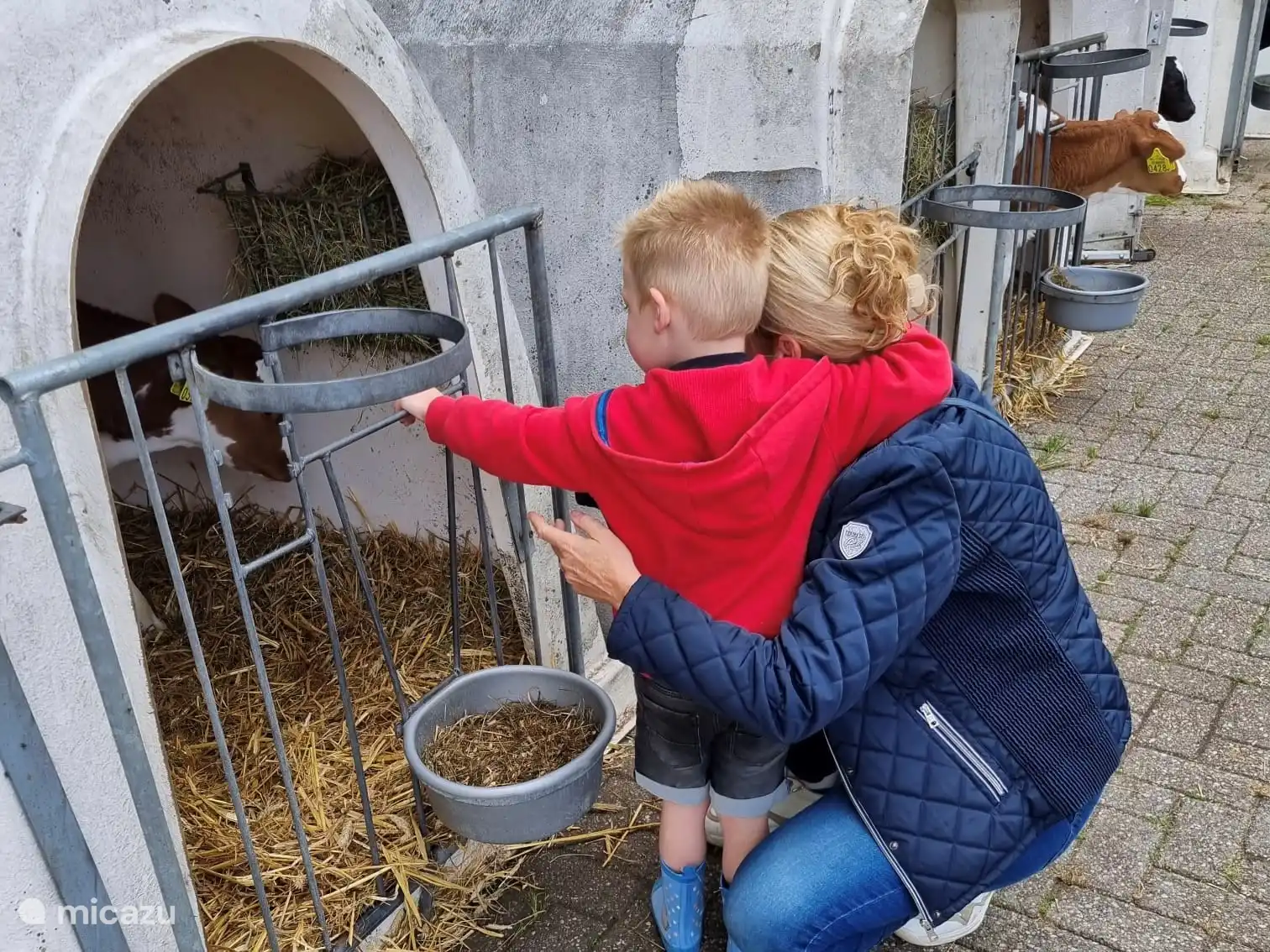 La granja de quesos Weenink está en pleno funcionamiento y los niños pueden abrazar a las vacas y terneros. Descubran la granja juntos y jueguen en la gran caja de arena. ¿O prefieres pasear por el prado para jugar al golf de granjero? Eso también es posible.  En la tienda de la granja se venden quesos y productos locales. 