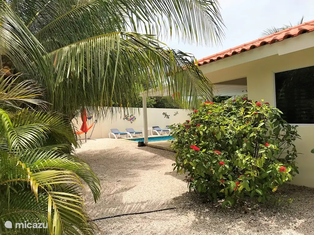 side view of the house from the driveway