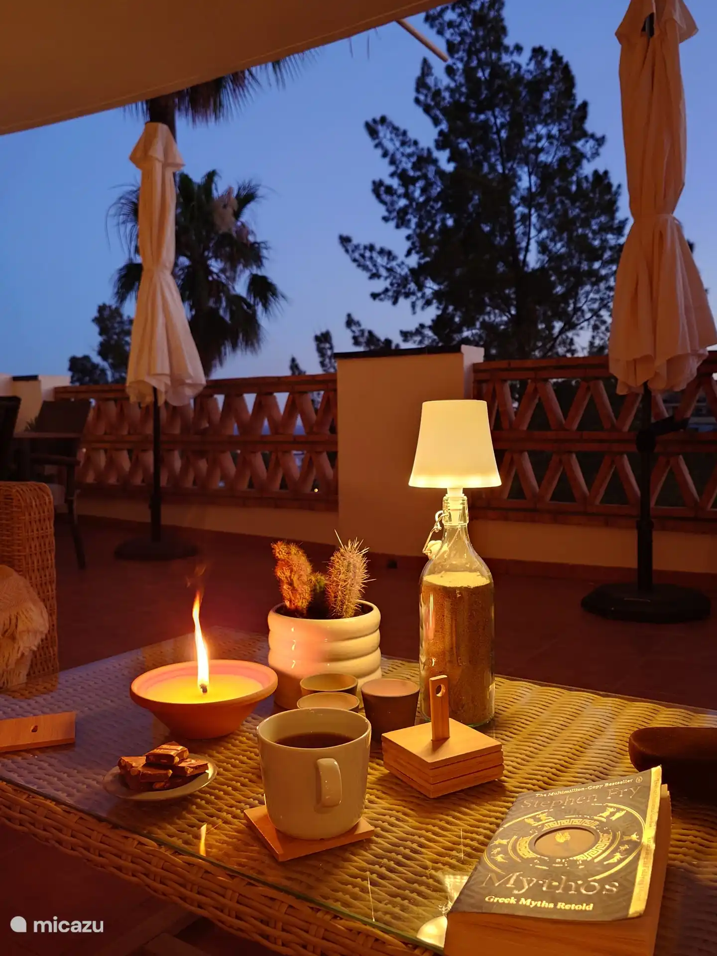 Terras by night
