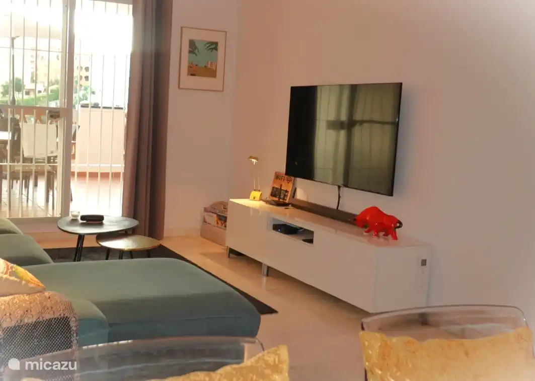 Grote 55inch tv met alle Nederlandse zenders