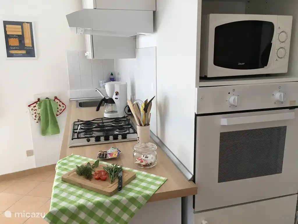 Komplett eingerichtete Küche mit allen Annehmlichkeiten, wie Geschirrspüler