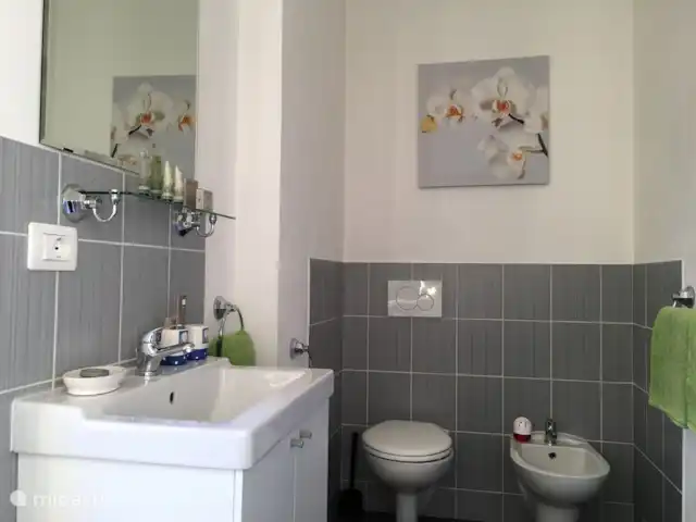 Casa Caroline: 1e verd.+ ruim balkon huren in Italië, Piëmont, Ovada - appartement Badkamer