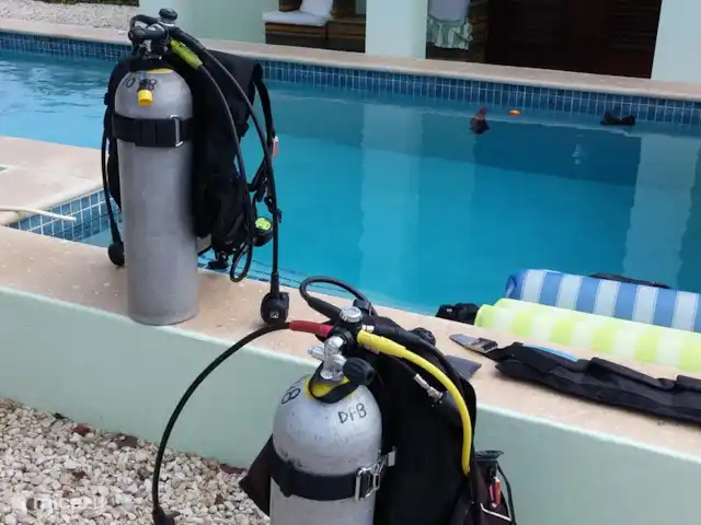 villa huren in Bonaire, Bonaire, Belnem – Cas Bon Majeti Eigen duikspullen mee? Ons zwembad is diep genoeg om de uitrusting te testen.