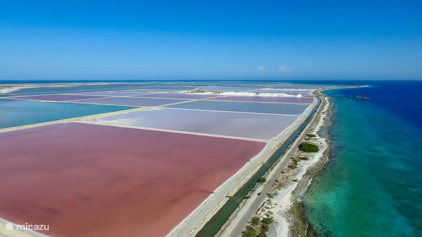 The salt mountains in the south. The mountains look no day the same! The salt lakes of color change daily.