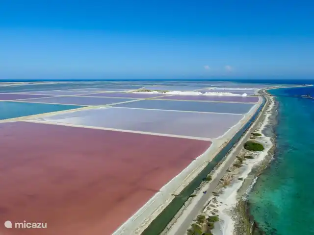 villa huren in Bonaire, Bonaire, Belnem – Cas Bon Majeti De zoutbergen in het zuiden. Deze bergen zien er geen dag hetzelfde uit! Ook de zoutmeren veranderen dagelijks van kleur.