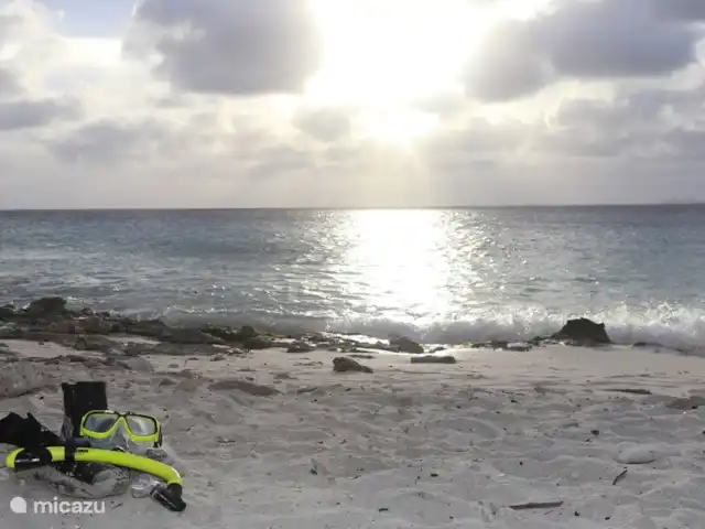 villa huren in Bonaire, Bonaire, Belnem – Cas Bon Majeti Op ongeveer 1 kilometer van Cas bon majeti ligt een van de grootste openbare stranden, Donkey Beach. Het dichtstbijzijnde openbare strand bevindt zich op slechts 350 meter afstand.