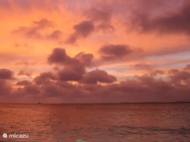 villa huren in Bonaire, Bonaire, Belnem – Cas Bon Majeti Geniet van de barbeque en van de zonsondergang vanaf Donkey Beach