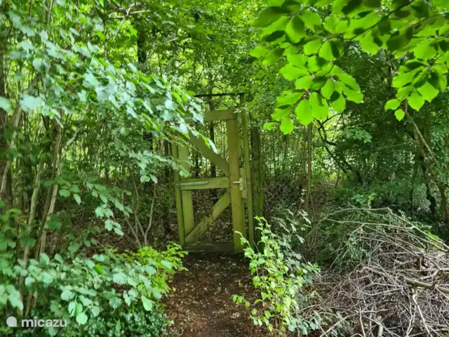 Location de Vacances Pays-Bas, Drenthe, Exloo, bungalow - Maison de plain-pied 89 À l’arrière du jardin, à travers la clôture dans la forêt