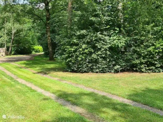 Location de Vacances Pays-Bas, Drenthe, Exloo, bungalow - Maison de plain-pied 89 Allée vers le bungalow