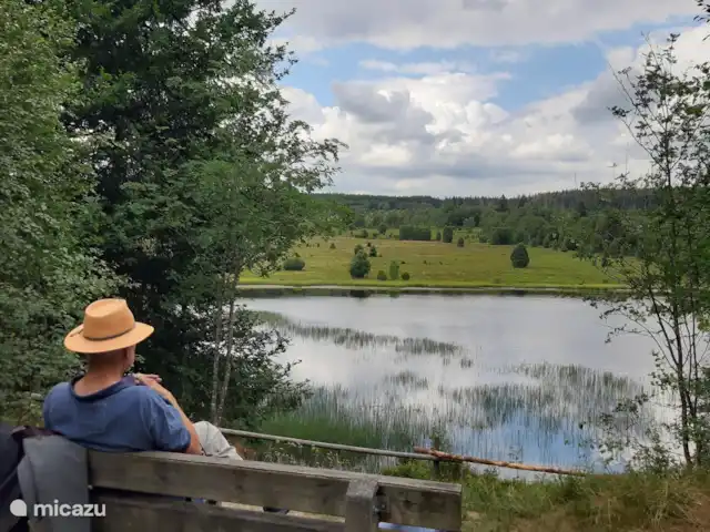 Osterglocken, maison de vacances Eifel | Belgique, Ardennes, Butgenbach - maison de vacances Schwarzbach Talsperre, une randonnée au départ de la maison de vacances