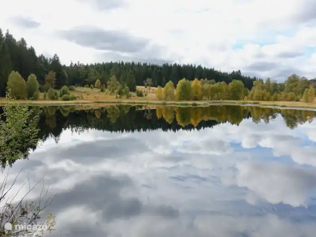 Osterglocken, maison de vacances Eifel | Belgique, Ardennes, Butgenbach - maison de vacances Le Schwarzbachtalsperre, un beau point de repos lors d’une randonnée circulaire, à 3 km d’Osterglocken