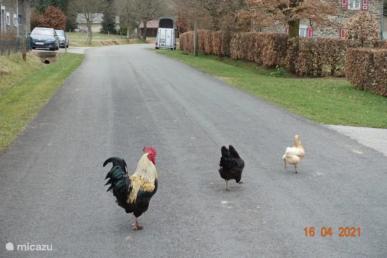 cross the street neatly without danger of being knocked over