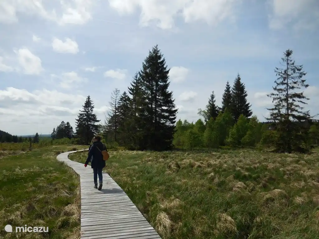 Mont Rigi, bat path in the highest region of the region, near the Botrange, Peak brewery, hiking trails, learning path ...