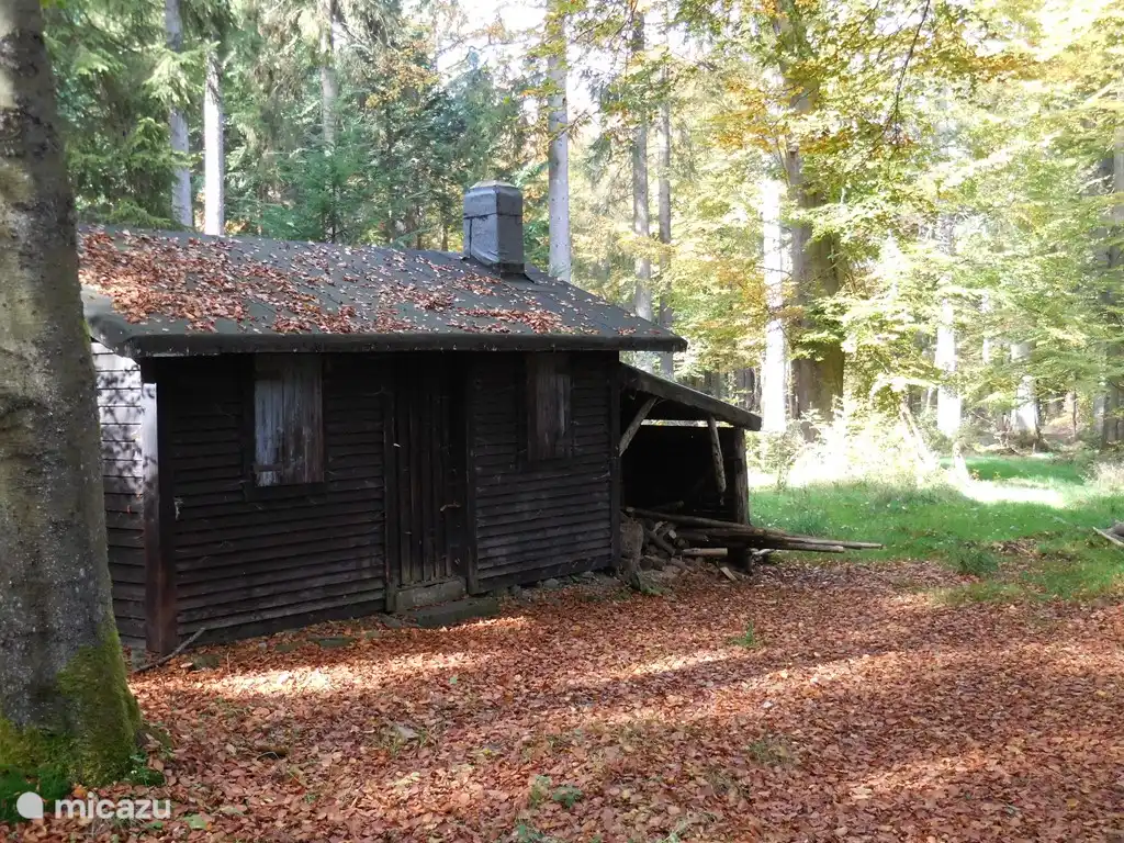 Fairytale forest house in K&#252;chelscheiderwald 1 km from Osterglocken