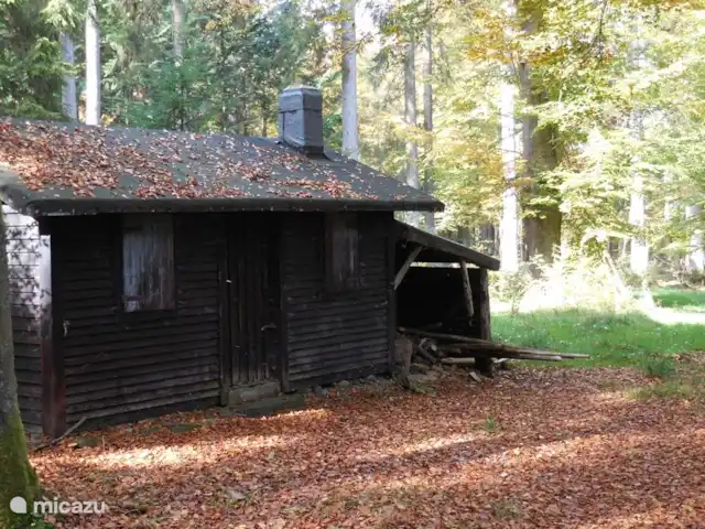 Osterglocken, maison de vacances Eifel | Belgique, Ardennes, Butgenbach - maison de vacances Chalet forestier de conte de fées à Küchelscheiderwald
1 km d'Österlocken