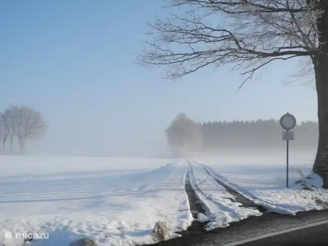 Osterglocken, maison de vacances Eifel | Belgique, Ardennes, Butgenbach - maison de vacances promenade d'hiver