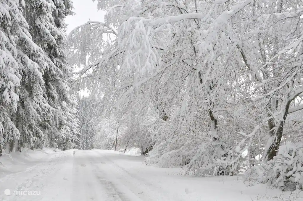 winter in K&#252;chelscheid