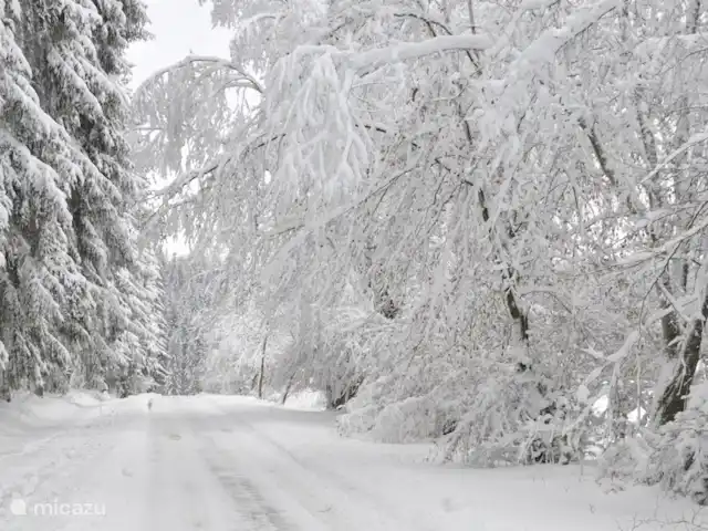 Osterglocken, maison de vacances Eifel | Belgique, Ardennes, Butgenbach - maison de vacances l'hiver à Kuchelscheid