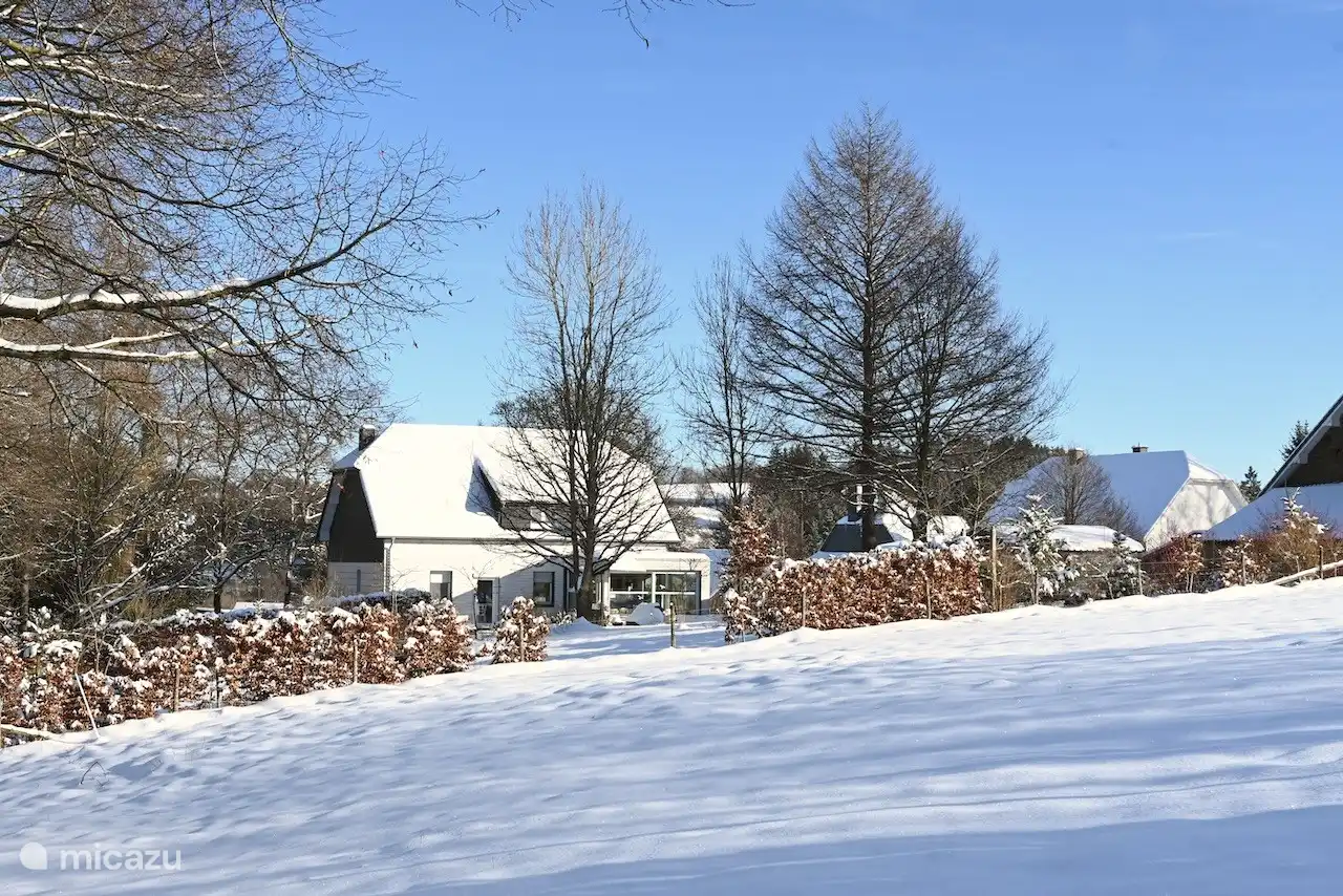 Winter in the garden