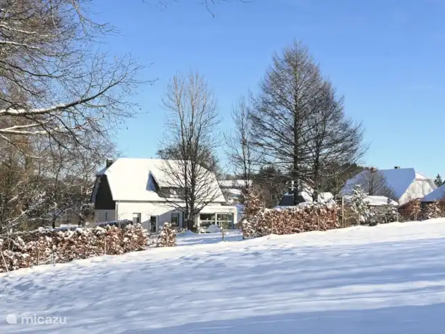 Osterglocken, maison de vacances Eifel | Belgique, Ardennes, Butgenbach - maison de vacances L’hiver au jardin