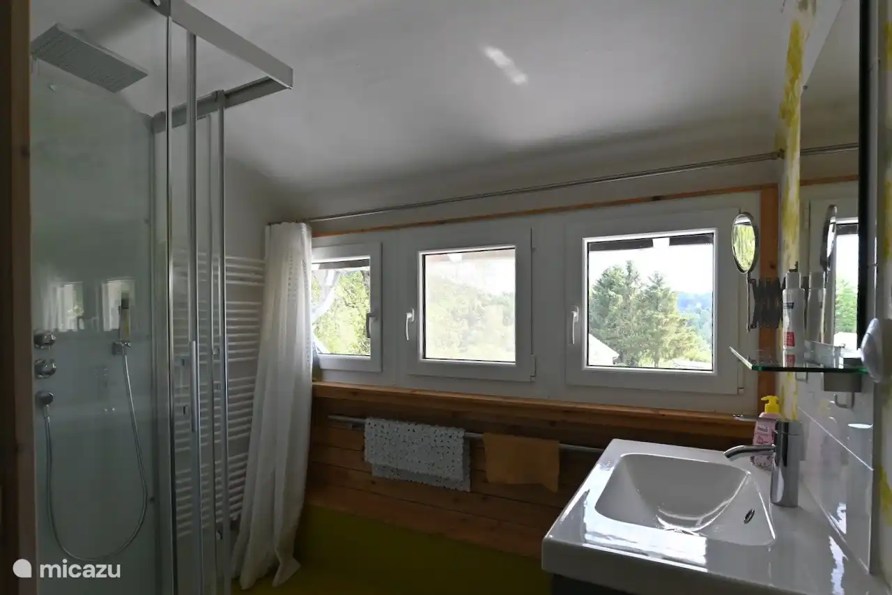 bathroom with shower and sink upstairs