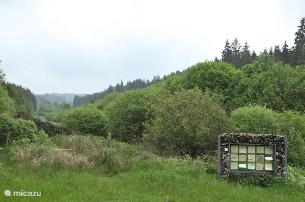 information board in the forest with various interesting facts about the forest and this in 4 languages, including Dutch!