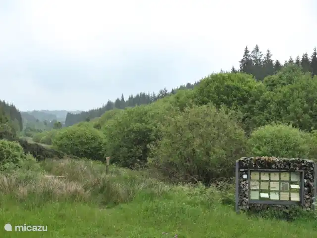 Osterglocken, maison de vacances Eifel | Belgique, Ardennes, Butgenbach - maison de vacances panneau d'information dans la forêt avec divers faits intéressants sur la forêt en 4 langues, dont le néerlandais !