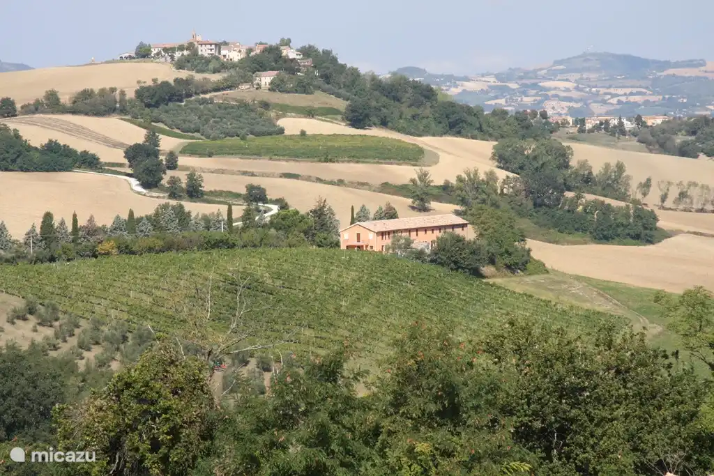 Farmhouse Country House Montesoffio in Italy, Marche, Barchi - Apartment