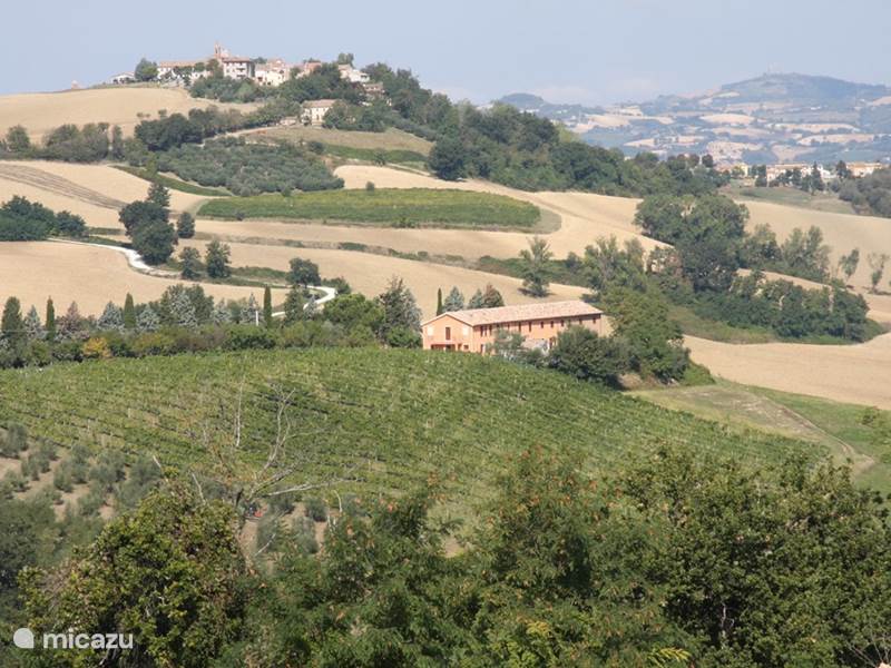 Holiday home in Italy, Marche, Barchi Apartment Farmhouse Country House Montesoffio